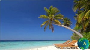 Yamaha Genos2_Rumba Island.
