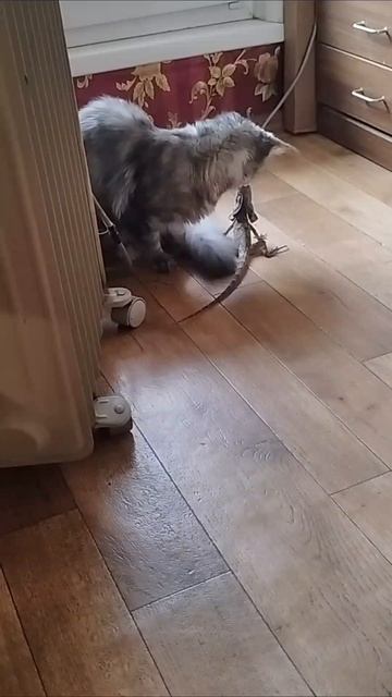 Начало крепкой дружбы 😁