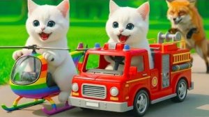 Мама-Кошка Подстригает мех на ферме и Шьет Тигровую шапочку Для Котят Дома🐾🎩🐯