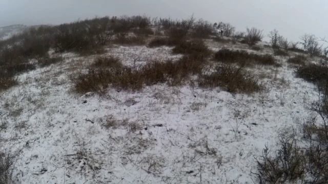 охота на зайца