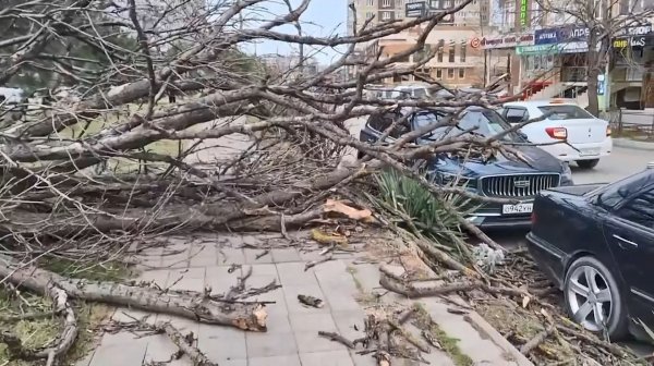 Ураганные ветры в Анапе: как избежать неприятных последствий?