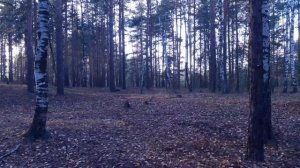 выживание в лесу ЧАСТЬ 40