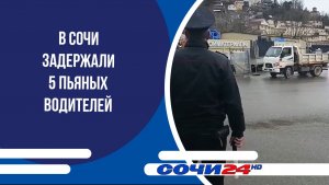 В Сочи задержали 5 пьяных водителей