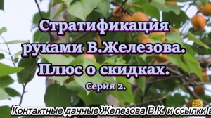 Стратификация руками В.Железова. Плюс о скидках. Серия 2.