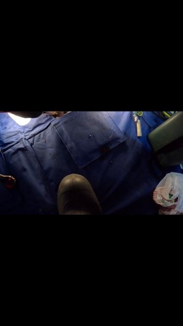 Огромные караси смотреть онлайн