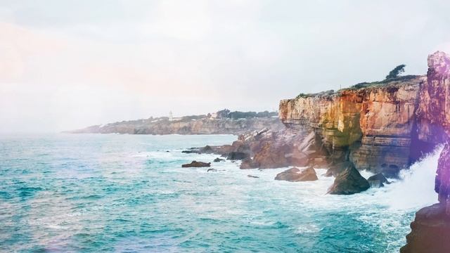 В Нём едины мы