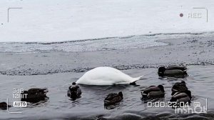 ВЕСНА ВСЁ БЛИЖЕ И ЭТО ПОТРЯСАЮЩЕ ИНТЕРЕСНО