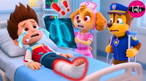 Щенячий патруль и Маршалл. Залипательное видео. Мультфильм для детей и малышей. Анимация 245