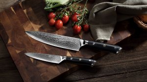 Ножи кухонные PAUDIN Damasscus Cloud