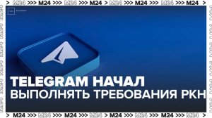 Депутат Госдумы Свинцов заявил, что Telegram начал выполнять требования Роскомндзора - Москва 24