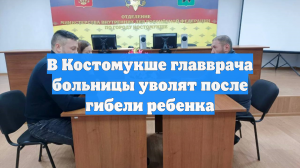 Главврача уволили после смерти двухлетнего ребенка в больнице в Карелии