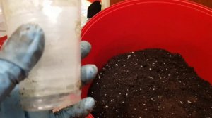 Два дня до старта. Сегодня про тару и грунт. 16.02.26