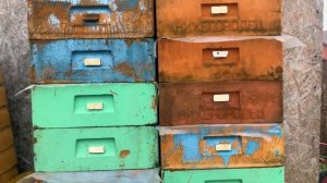 Хранение суши