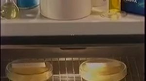 Рекламные блоки и анонс (ОРТ, 17.02.2002)