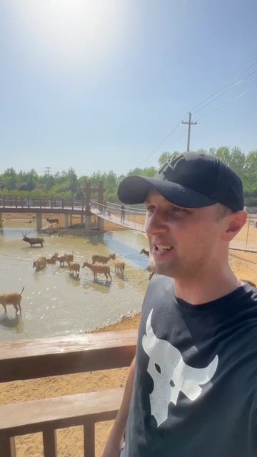 🛑 Жиджао, национальный Форест Парк 🧭 #2 смотреть онлайн