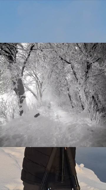 Снимаю на старую ФОТО32. Часть 2.