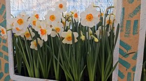 Я приглашаю вас в весну!