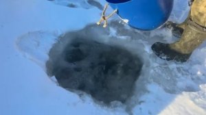 Запуск от 17.02.26