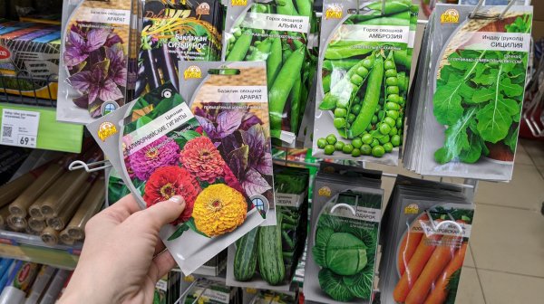 🔥 В Фикс Прайс привезли СЕМЕНА на сезон 2026. Отдельный стенд. Подробный обзор