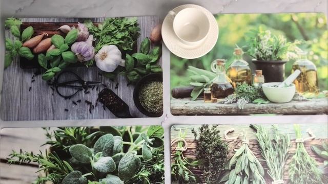 Плейсматы ПРЯНЫЕ ТРАВЫ, 44х29 см, набор - 4 шт., CY2702090-набор