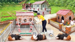 Построила домик для выращивания морских свинок. Серия 26. Ли Фук Ви