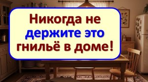 Этот простой овощ на подоконнике привлекает удачу и деньги. Бабушкин метод для вашего благополучия