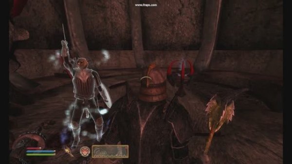 The Elder Scrolls OBLIVION (5)