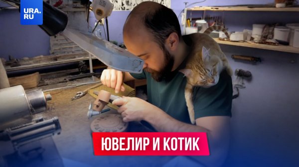 Сделано лапками: кот работает вместе с хозяином-ювелиром