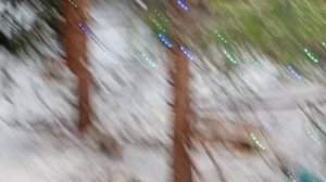 полный двор за окном