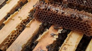 Лень - двигатель прогресса !!!😅