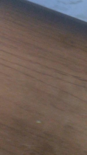 Я тесщу канал