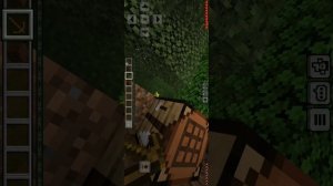 Я играю в  макравт