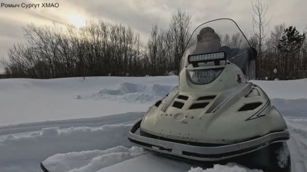 Жерлицы проверка. 10 день.