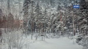 2026_02_17_ПОЭЗИЯ Z выпуск 6_О. Кишкина