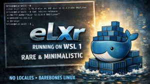 003 docker. eLxr wsl 1 полет нормальный