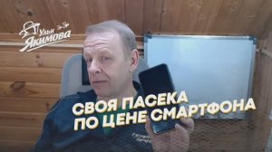 Пасека за те же деньги, что и смартфон — простая арифметика, которая меняет взгляд на пчеловодство