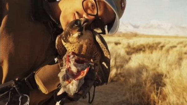 Катар-это скрывали от всего мира.