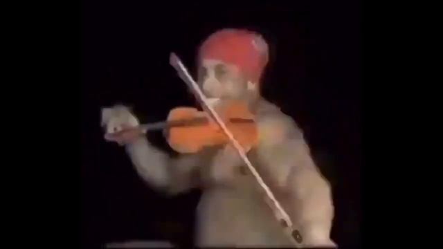 Рикардо Милос играет на скрипке