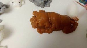 влог с собачками