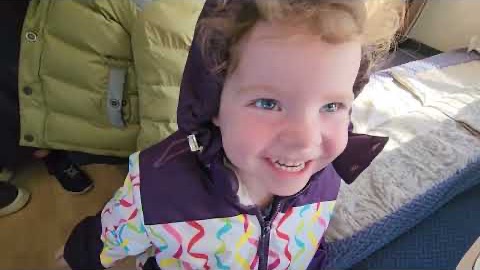 ..Did You Know You Could See Manatees & Stingrays for Free? Unbelievable & Amazing Experience! 🐋✨ смотреть онлайн