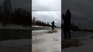 Зимняя щучка на твич  #fishing  #norstream #рыбалка