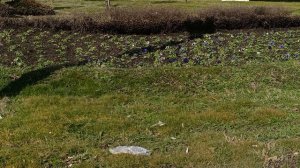 Остановились на светофоре 🚦