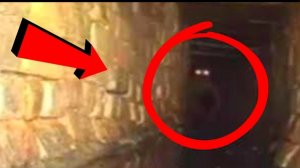 10 Неизвестных Существ Снятых на Камеру