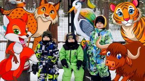 Развивающие мультики про животных для детей Сборник #длядетей #детям Брозаврики кормят животных