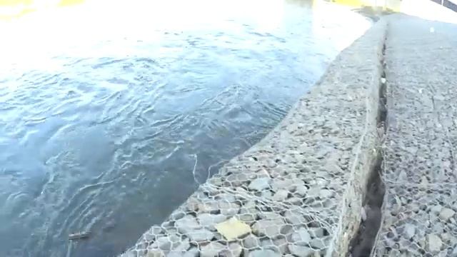 Ленок 3670кг Дарите жизнь смотреть онлайн