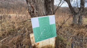 Новое ружьё