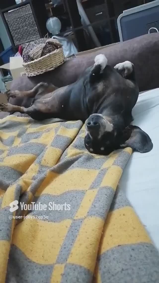 25 ноября 2023 г.