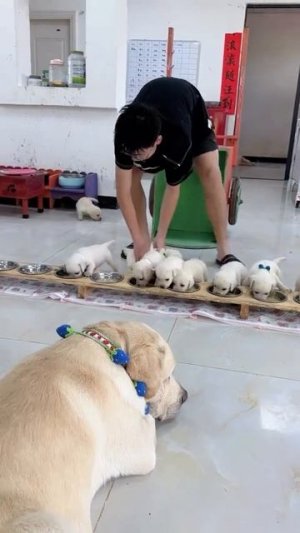 Обед в яслях😋))