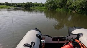 Опять щука.