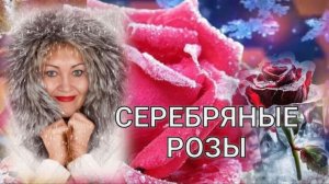 СЕРЕБРЯНЫЕ РОЗЫ. Стихи Людмила Бабкина;музыка Александр Голуб; вокал Любовь Кузнецова